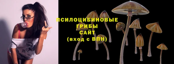первитин Лагань