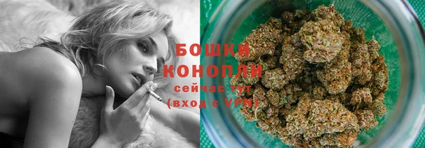 ПСИЛОЦИБИНОВЫЕ ГРИБЫ Кукмор