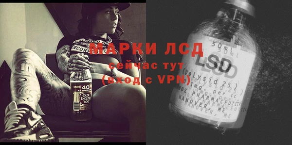 ПСИЛОЦИБИНОВЫЕ ГРИБЫ Кукмор